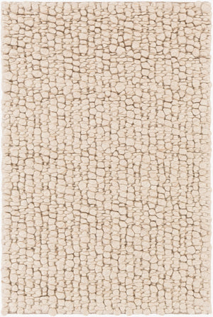 Surya Neravan Exquisite Handmade 2' X 3' Wool Area Rug - Luxurious Texture & Modern Style For Your Home Cream Wool Ner1000-23