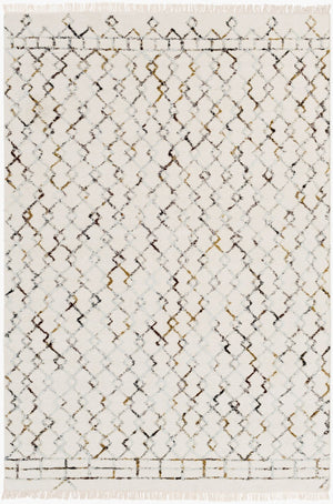 Surya Nettie 2' X 3' Handmade Wool Rug - Global Inspired Elegance, Durable Design For Eclectic Spaces Cream Wool,Viscose Net1001-23