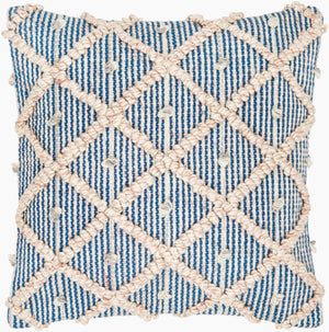 Surya Nacka Eco-friendly 18" Accent Pillow Kit - Durable, Lightweight, Artisan-made For Cozy Cottage Style Ivory Recycled Pet Yarn,Polyester Nka001-2020d