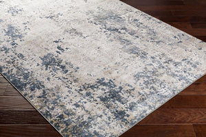 Livabliss Norland Mid-century Modern Large Area Rug Polypropylene Blend for Living Room Light Slate, Ch 7'10" x 10' NLD2300-71010