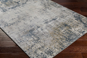 Livabliss Norland Machine Woven Polypropylene Area Rug for Modern Living Rooms Soft Durable Medium Gray, Gr 2' x 2'11" NLD2312-23