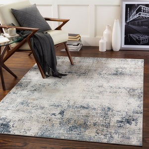 Livabliss Norland Machine Woven Polypropylene Area Rug for Modern Living Rooms Soft Durable Medium Gray, Gr 2' x 2'11" NLD2312-23