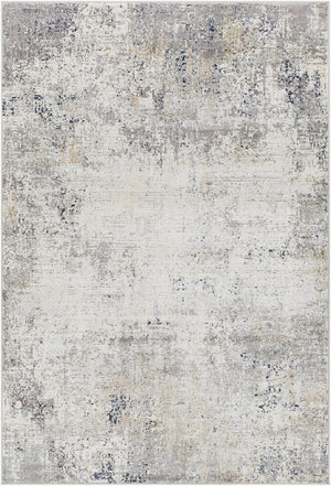 Livabliss Norland Machine Woven Polypropylene Blend Area Rug with High Low Pile Living Room Medium Gray, Gr 8'10" x 12' NLD2314-912