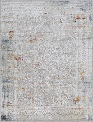 Livabliss Norland Traditional Area Rug Machine Woven Polypropylene Blend for Large Living Rooms Medium Gray, Gr 7'10" x 10' NLD2316-71010