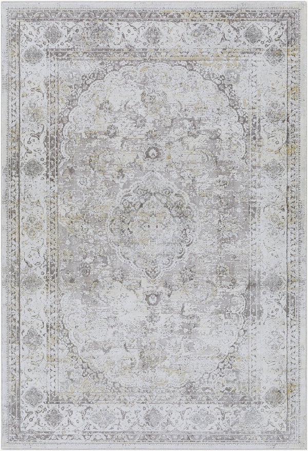Livabliss Norland Traditional Area Rug Machine Woven Polypropylene Polyester Blend for Formal Rooms Medium Gray, Gr 12' x 15' NLD2318-1215