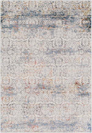 Livabliss Norland Machine Woven Area Rug with High Low Pile Textured Surface for Large Rooms Medium Gray, Gr 2'7" x 3'11" NLD2319-274