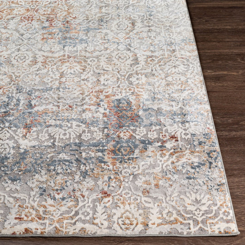 Livabliss Norland Machine Woven Area Rug with High Low Pile Textured Surface for Large Rooms Medium Gray, Gr 2'7" x 3'11" NLD2319-274