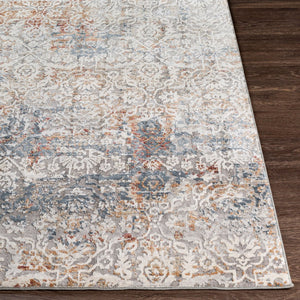 Livabliss Norland Machine Woven Area Rug with High Low Pile Textured Surface for Large Rooms Medium Gray, Gr 2'7" x 3'11" NLD2319-274