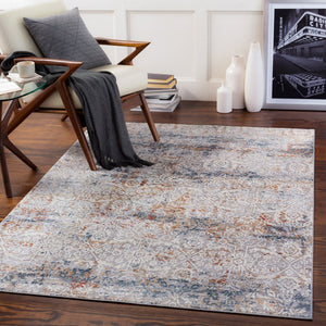Livabliss Norland Machine Woven Area Rug with High Low Pile Textured Surface for Large Rooms Medium Gray, Gr 2'7" x 3'11" NLD2319-274