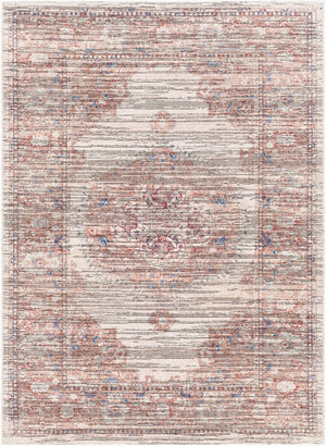 Livabliss Nolita Flatweave Chenille Area Rug Traditional Pattern for Living and Dining Rooms NLT2305-91013