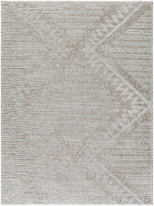 Livabliss Nomadic Bohemian Geometric Machine Woven Polyester Rug for Living Room or Bedroom Medium Gray 6'7" x 9' NMC2300-679
