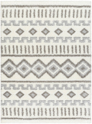 Nomadic NMC-2302 7'10" x 10' Machine Woven Rug NMC2302-71010 Livabliss Surya