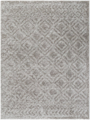 Livabliss Nomadic Turkish Machine Woven Polyester Area Rug Minimalist Modern Living Room Accent Medium Gray 6'7" x 9' NMC2303-679
