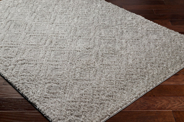 Livabliss Nomadic Turkish Machine Woven Polyester Area Rug Minimalist Modern Living Room Accent Medium Gray 6'7" x 9' NMC2303-679