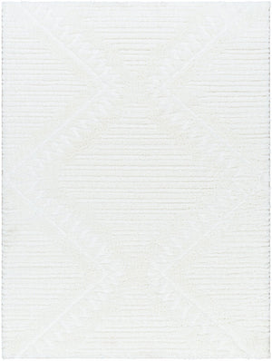 Livabliss Nomadic Machine Woven Polyester Area Rug Plush Global Pattern for Living Spaces Ivory 5'3" x 7' NMC2304-537