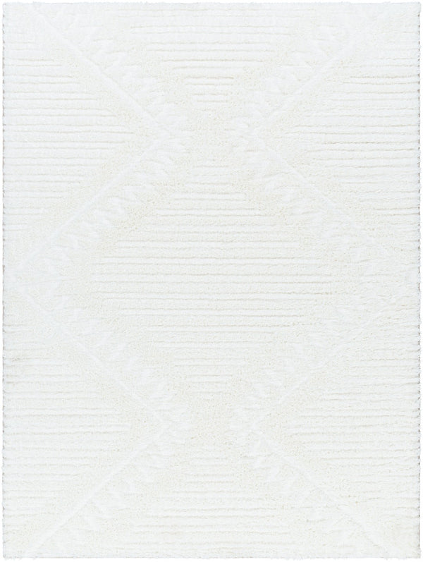 Livabliss Nomadic Machine Woven Polyester Area Rug Plush Global Pattern for Living Spaces Ivory 5'3" x 7' NMC2304-537