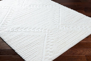 Livabliss Nomadic Machine Woven Polyester Area Rug Plush Global Pattern for Living Spaces Ivory 5'3" x 7' NMC2304-537