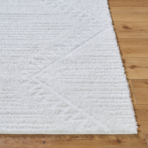 Livabliss Nomadic Machine Woven Polyester Area Rug Plush Global Pattern for Living Spaces Ivory 5'3" x 7' NMC2304-537