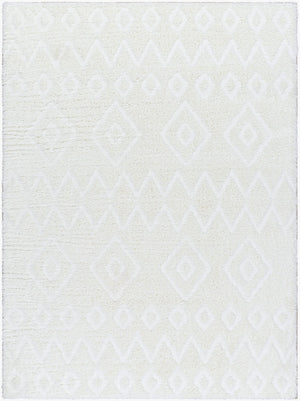Livabliss Nomadic Plush Polyester Area Rug Machine Woven in Turkey for Modern Living Spaces Ivory 5'3" x 7' NMC2306-537