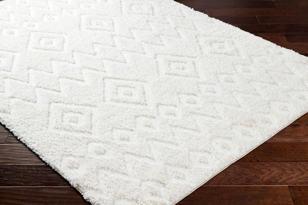 Livabliss Nomadic Plush Polyester Area Rug Machine Woven in Turkey for Modern Living Spaces Ivory 5'3" x 7' NMC2306-537
