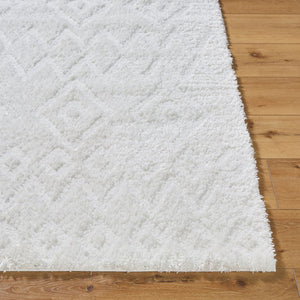 Livabliss Nomadic Plush Polyester Area Rug Machine Woven in Turkey for Modern Living Spaces Ivory 5'3" x 7' NMC2306-537