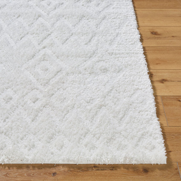 Livabliss Nomadic Plush Polyester Area Rug Machine Woven in Turkey for Modern Living Spaces Ivory 5'3" x 7' NMC2306-537