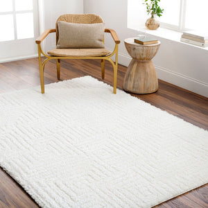 Livabliss Nomadic Plush Polyester Area Rug Machine Woven in Turkey for Living Rooms and Bedrooms Ivory 7'10" x 10' NMC2314-71010