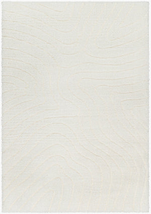 Livabliss Nomadic Plush Polyester Area Rug Turkish Woven Soft Pile for Living or Bedroom Floors Ivory 5'3" x 7' NMC2315-537