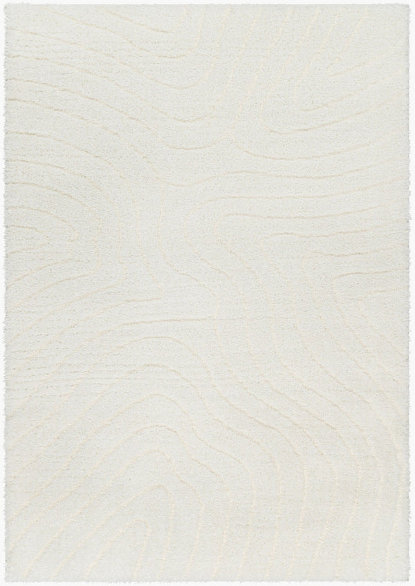 Livabliss Nomadic Plush Polyester Area Rug Turkish Woven Soft Pile for Living or Bedroom Floors Ivory 5'3" x 7' NMC2315-537