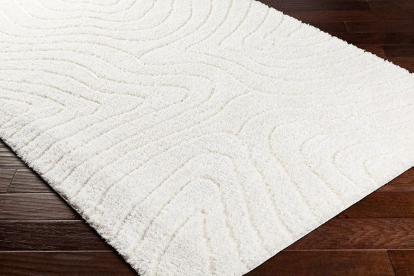 Livabliss Nomadic Plush Polyester Area Rug Turkish Woven Soft Pile for Living or Bedroom Floors Ivory 5'3" x 7' NMC2315-537