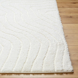 Livabliss Nomadic Plush Polyester Area Rug Turkish Woven Soft Pile for Living or Bedroom Floors Ivory 5'3" x 7' NMC2315-537