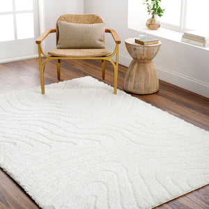 Livabliss Nomadic Plush Polyester Area Rug Turkish Woven Soft Pile for Living or Bedroom Floors Ivory 5'3" x 7' NMC2315-537