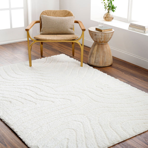 Livabliss Nomadic Plush Polyester Area Rug Turkish Woven Soft Pile for Living or Bedroom Floors Ivory 5'3" x 7' NMC2315-537