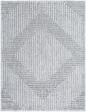 Livabliss Nomadic Plush Polyester Area Rug Turkish Woven for Living Room Bedroom Dining Gray, Light Sla 5'3" x 7' NMC2324-537