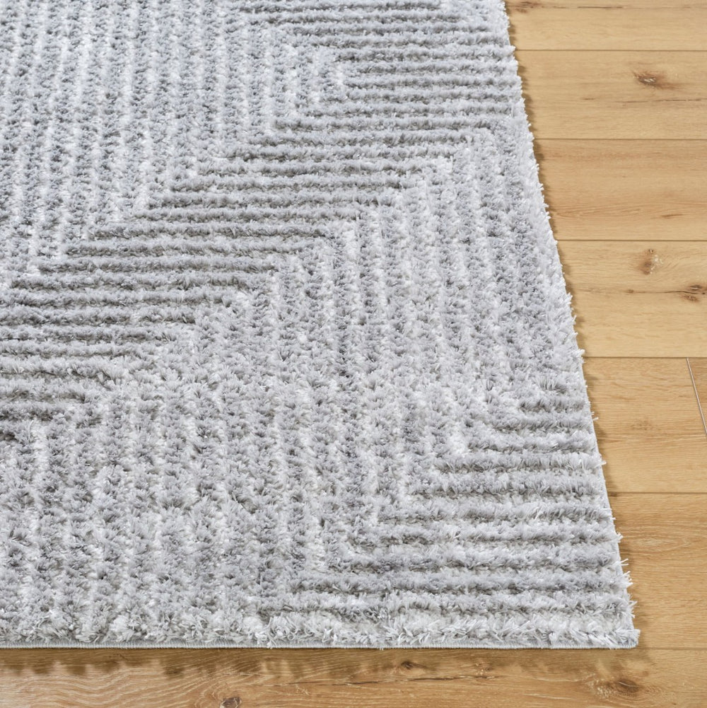 Livabliss Nomadic Plush Polyester Area Rug Turkish Woven for Living Room Bedroom Dining Gray, Light Sla 5'3" x 7' NMC2324-537
