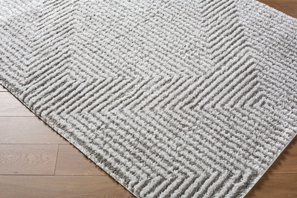 Livabliss Nomadic Collection Plush Polyester Area Rug Turkey Woven for Living Room Bedroom Floors Light Slate, Gr 7'10" x 10' NMC2325-71010