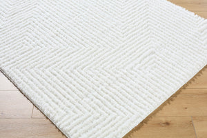 Livabliss Nomadic Turkish Machine Woven Plush Polyester Area Rug for Living Room Bedroom Floors Cream, White 7'10" x 10' NMC2327-71010