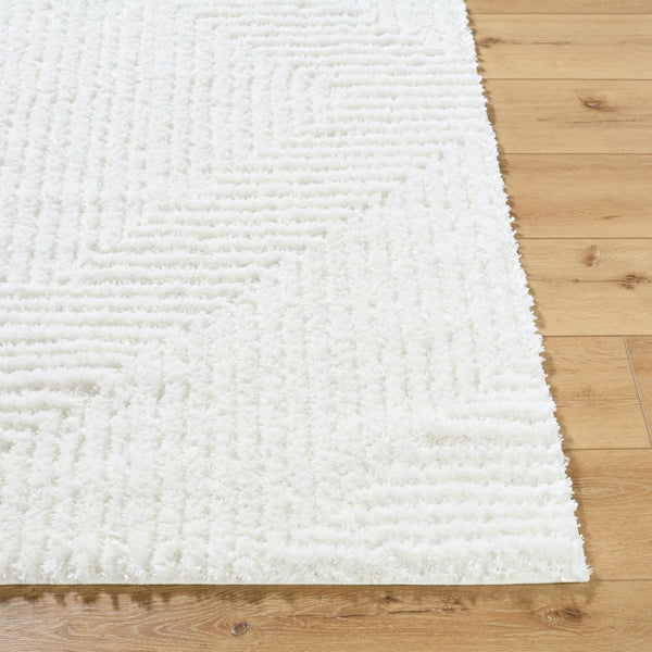 Livabliss Nomadic Turkish Machine Woven Plush Polyester Area Rug for Living Room Bedroom Floors Cream, White 7'10" x 10' NMC2327-71010