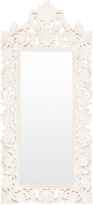 Naomi NMI-002 53"H x 24"W x 2"D Accent Mirror NMI002-5324 Livabliss Surya