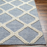 Nina NNA-2303 9' x 12' Handmade Rug NNA2303-912  Blue, Cream Surya