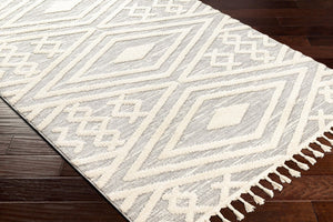 Livabliss Nora High Pile Polypropylene Area Rug with Fringe Turkish Woven Living Room Accent Light Gray, Cre 6'7" x 9' NOA2302-679