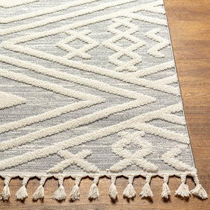 Livabliss Nora High Pile Polypropylene Area Rug with Fringe Turkish Woven Living Room Accent Light Gray, Cre 6'7" x 9' NOA2302-679