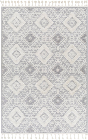 Nora NOA-2303 5'3" x 7' Machine Woven Rug NOA2303-537 Livabliss Surya