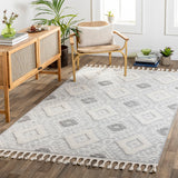 Nora NOA-2303 5'3" x 7' Machine Woven Rug NOA2303-537 Livabliss Surya