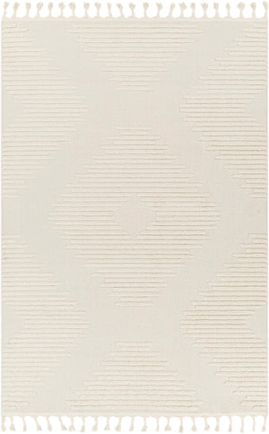 Nora NOA-2304 5'3" x 7' Machine Woven Rug NOA2304-537 Livabliss Surya