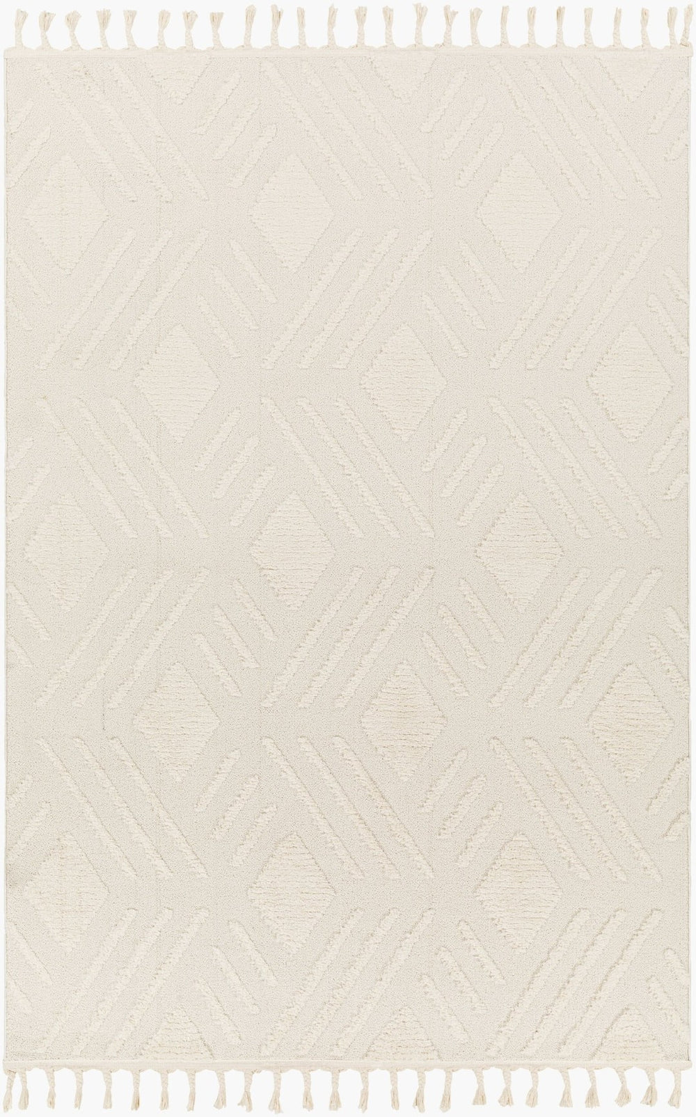 Livabliss Nora High Pile Polypropylene Area Rug Turkish Woven Fringe Trim Boho Living Room NOA2306-679