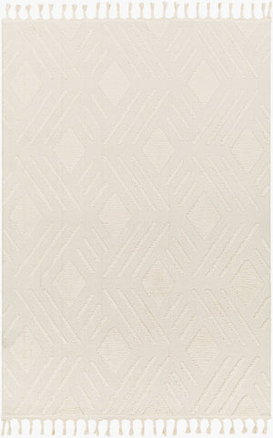 Livabliss Nora High Pile Polypropylene Area Rug Turkish Woven Fringe Trim Boho Living Room NOA2306-679