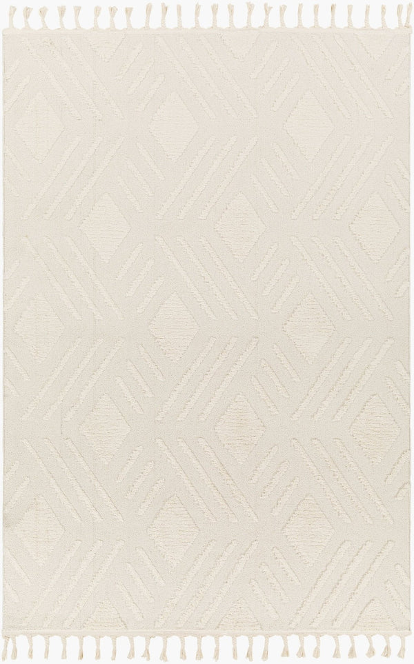 Livabliss Nora High Pile Polypropylene Area Rug Turkish Woven Fringe Trim Boho Living Room NOA2306-679