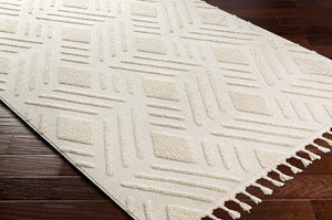 Livabliss Nora High Pile Polypropylene Area Rug Turkish Woven Fringe Trim Boho Living Room NOA2306-679