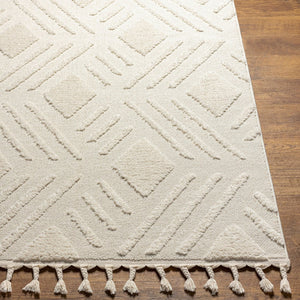 Livabliss Nora High Pile Polypropylene Area Rug Turkish Woven Fringe Trim Boho Living Room NOA2306-679